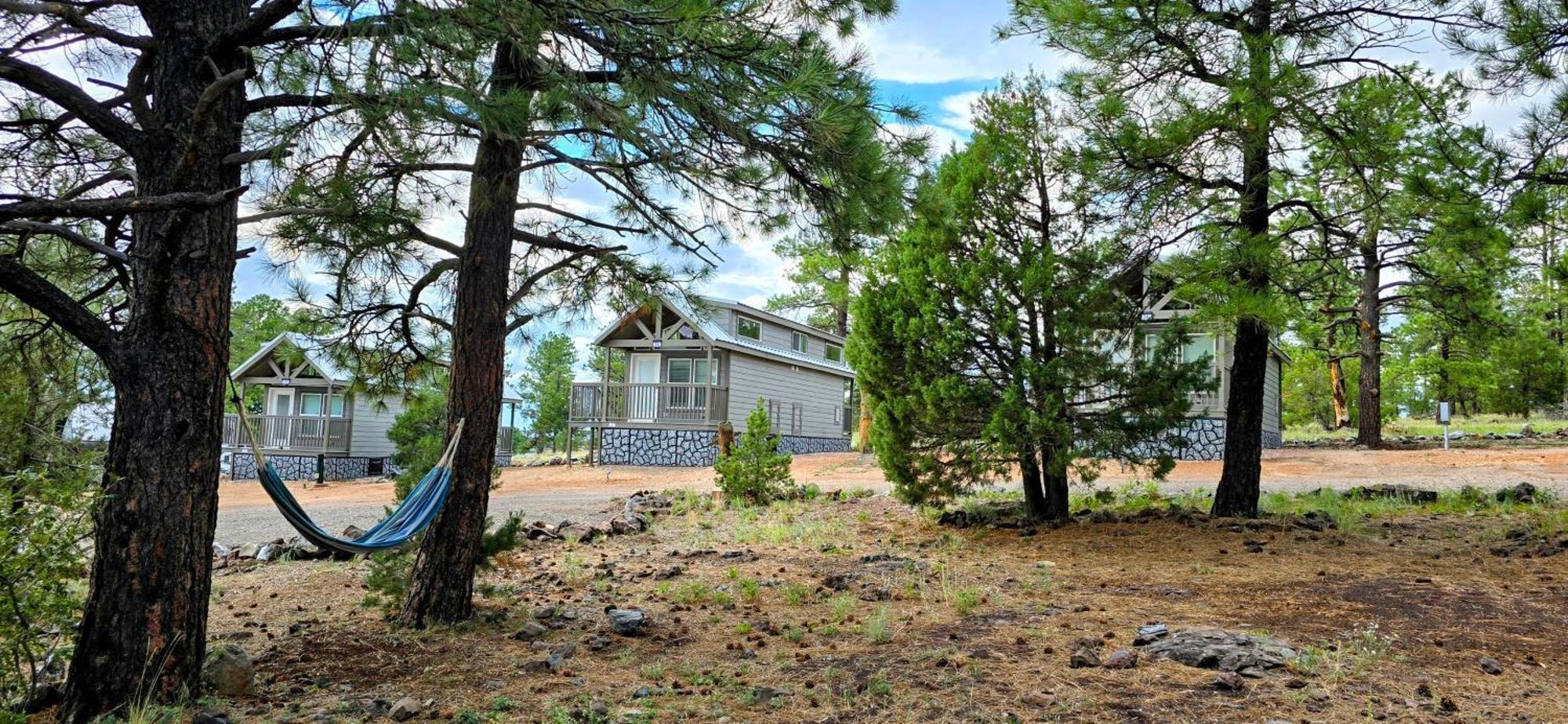 וויליאמס Cabin With A Mountain View 6B מראה חיצוני תמונה