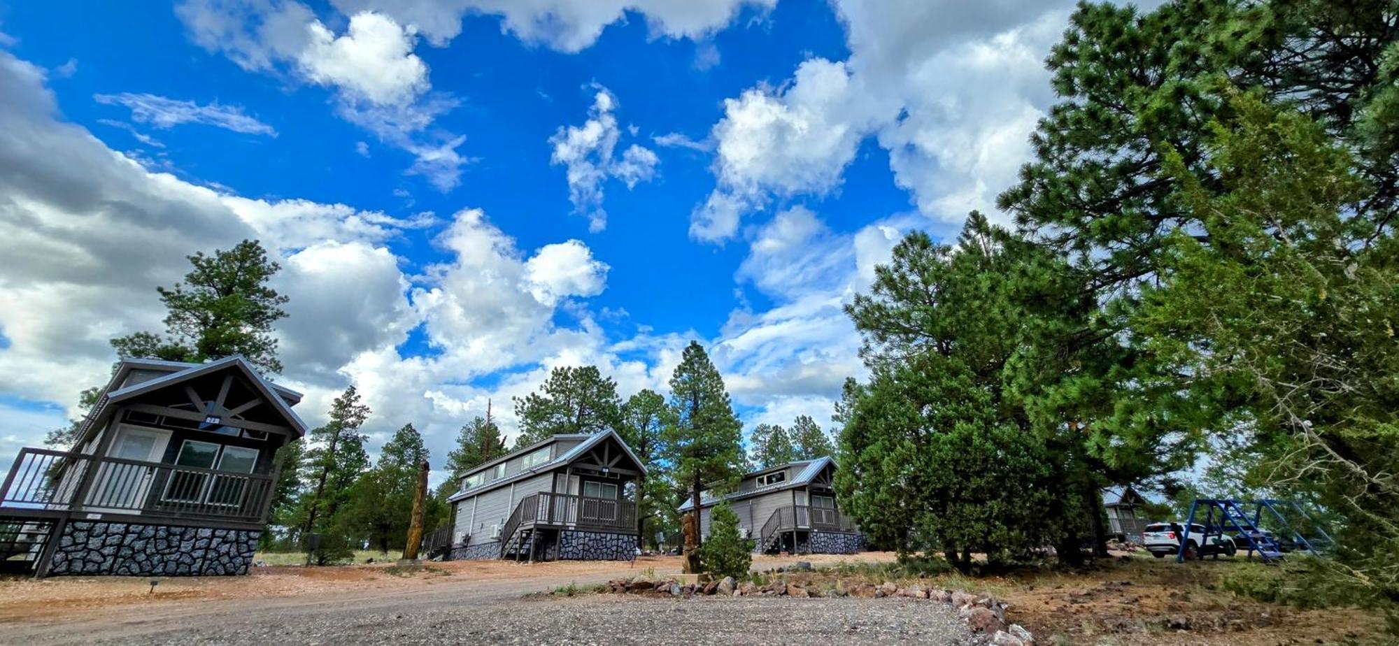 וויליאמס Cabin With A Mountain View 6B מראה חיצוני תמונה