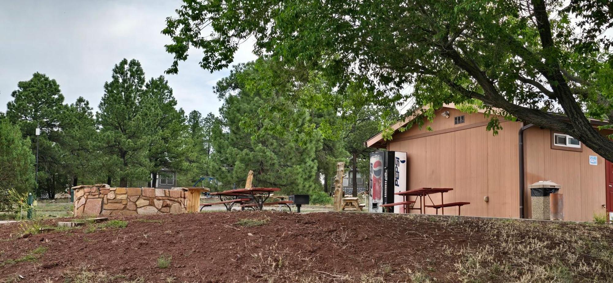 וויליאמס Cabin With A Mountain View 6B מראה חיצוני תמונה